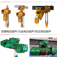 涇陽太平鎮行車維修-崇文鎮門式起重機安裝-安吳鎮銷售電動葫蘆